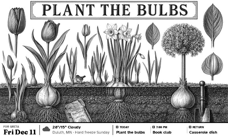 Plant the Bulbs, a botanical copperplate engraving